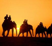 elephant ride